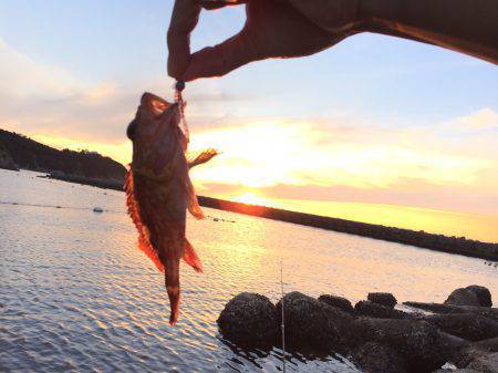 ちょろっとガシリング