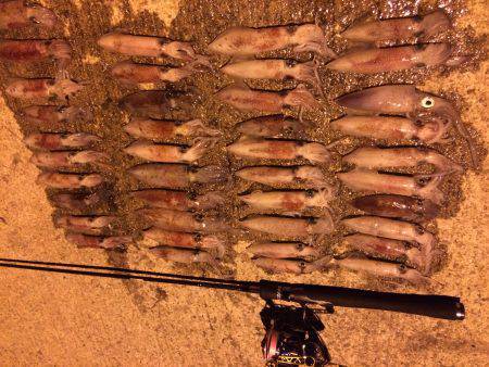 ライケン二回目