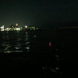 投げサビキにて