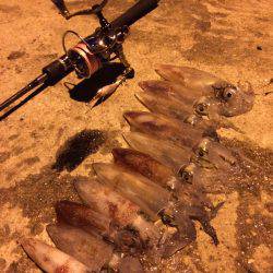 ライケン三回目