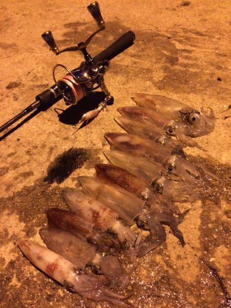 ライケン三回目