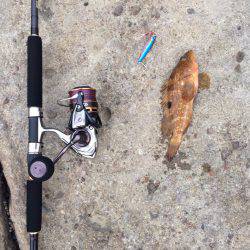 ショアジギング