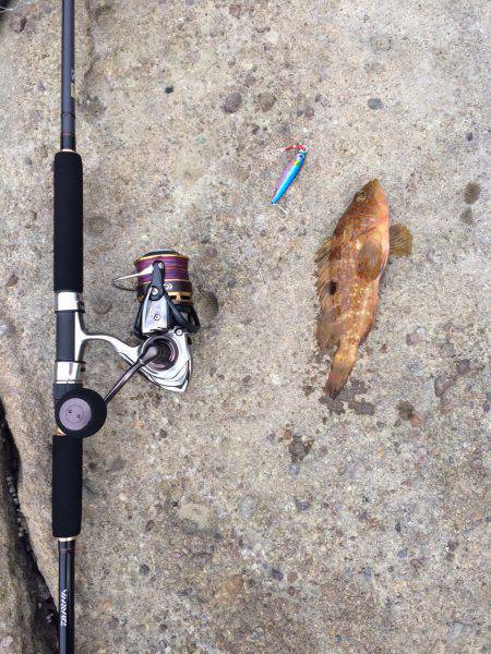 ショアジギング