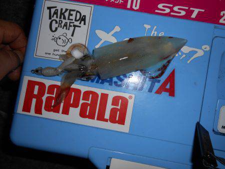 五目ジグヘッドエギDEケンサキ*\\\\\\\\(^o^)/*