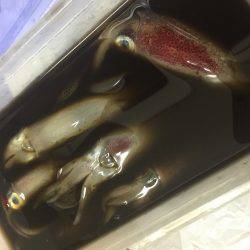 沖漬け作り (笑)