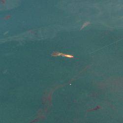 もう終わりか？