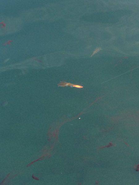 もう終わりか？