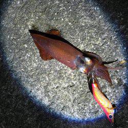 人混みを避けて…