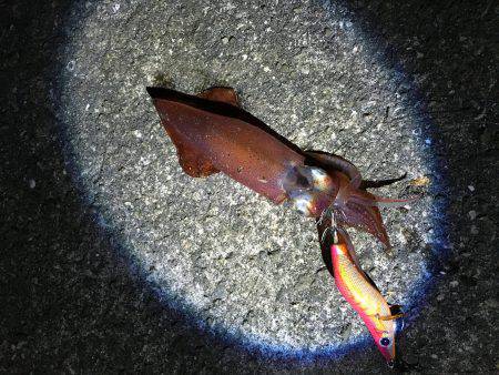 人混みを避けて…