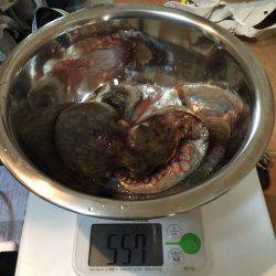 やっぱり終盤^^;