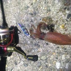 まだまだいますよね〜(^-^)