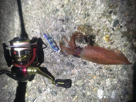 まだまだいますよね〜(^-^)