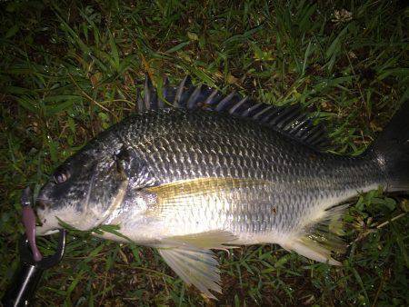 リアクション攻め