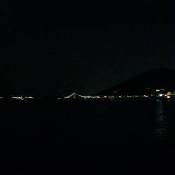 やっぱりアジ釣りは楽しい〜