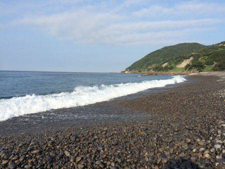 アタリはあったものの。。。