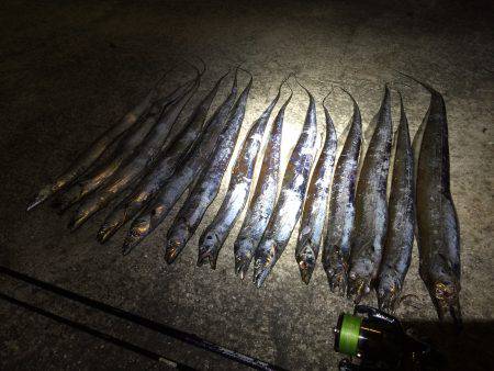 久々のタッチョ