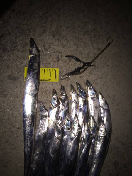 びっくりするほどアタリまくり〜