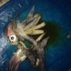 サバイバル生活