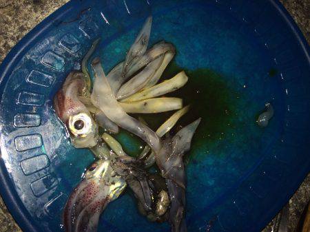 サバイバル生活