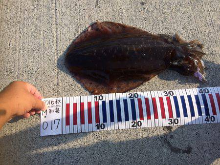 キロオーバーねらい