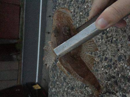 久しぶりの釣行