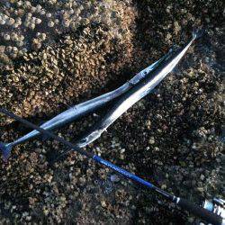 貧果投稿スミマセン