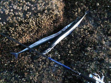 貧果投稿スミマセン