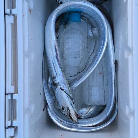 ムッシュ崇之  サーベリング