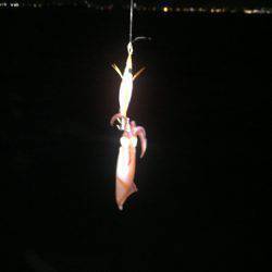 3ヶ月ぶりの釣行