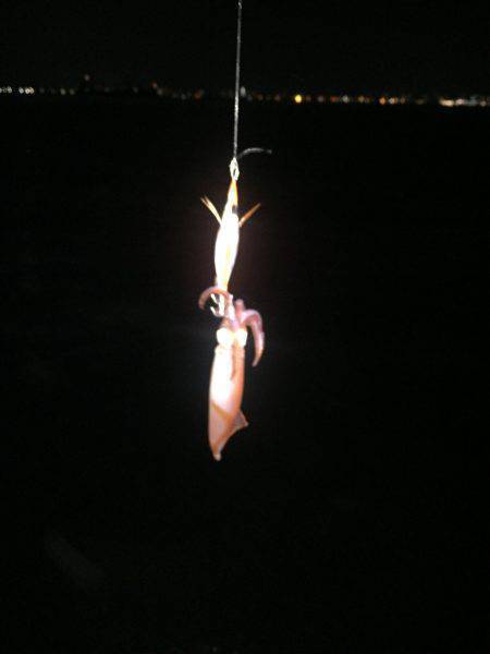 3ヶ月ぶりの釣行