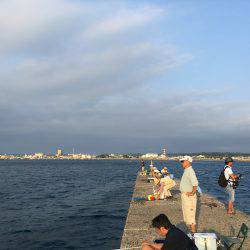 またソウダガツオ狩り