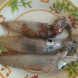 ヤッパリ腕の差