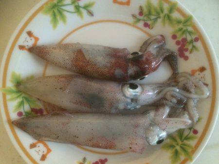 ヤッパリ腕の差