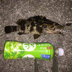 自作ワームでガシリング