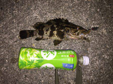 自作ワームでガシリング