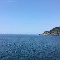 パワフルなカンちゃん