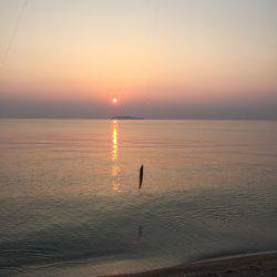 サーフフィッシング！