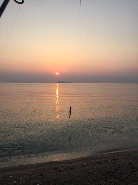 サーフフィッシング！