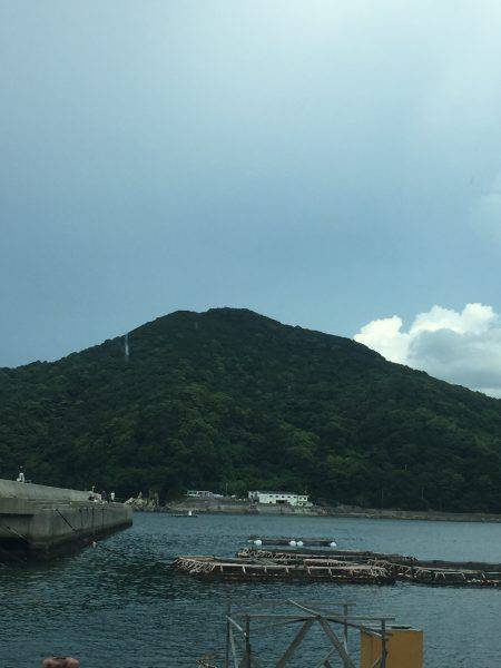 ソーダガツオ好調