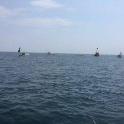 アジ25〜35㎝、真鯛32㎝