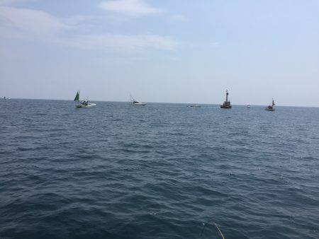 アジ25〜35㎝、真鯛32㎝