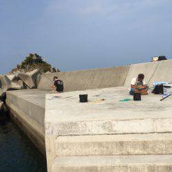 サイトエギング