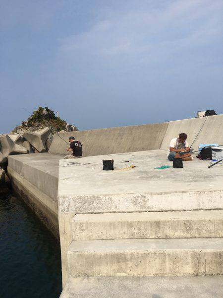 サイトエギング