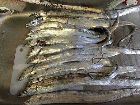 ファミリーフィシング