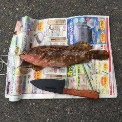 敦賀デイロック