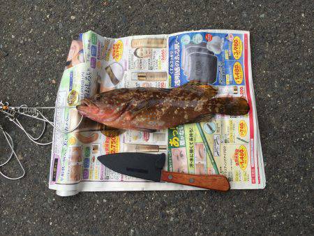 敦賀デイロック