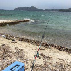 真夏にちょい投げ