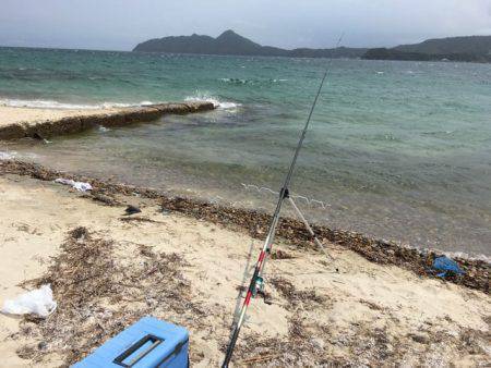 真夏にちょい投げ