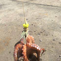 数が減りサイズが増える