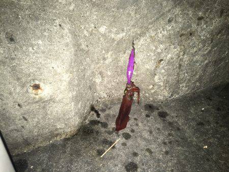 短時間で満足しました！